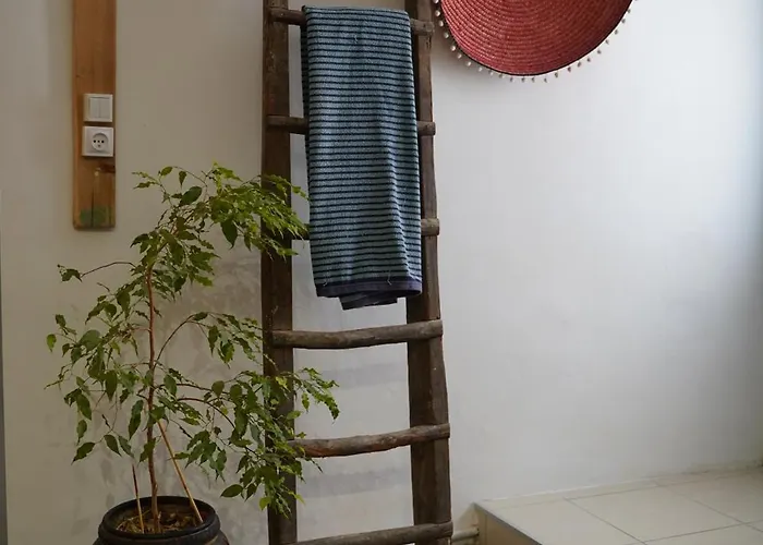 Lily A L'auberge Leucate